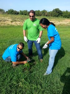 ABS TREE PLANTING 008